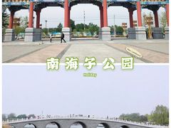-大兴滨河森林公园