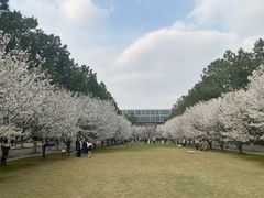 -同济大学(嘉定校区)