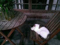 android_upload_pic-小雅青年旅舍(平江路店)