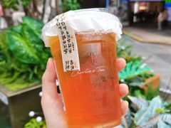 -茶理宜世(乐峰广场·尝乐集店)