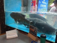 -浔味·山屿湖·正宗淳牌全鱼宴老字号