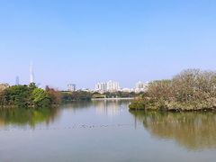 -海珠湖公园
