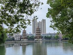 -宝岛公园