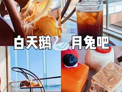 -白天鹅宾馆·月兔吧