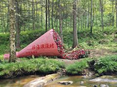 -汤旺河林海奇石景区