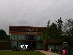 -洪湖家庭农场·团建·露营·会议