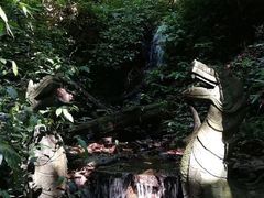-莫里热带雨林景区