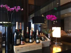 -广州富力君悦大酒店O SPA