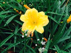 iphone_upload_pic-活水公园