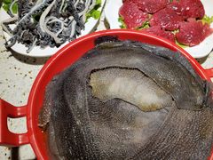 -二荆条·蜀鲜汇城市森林火锅