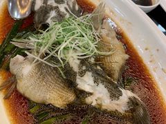 -新南华大酒店(广中店)