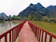 -靖西鹅泉风景区