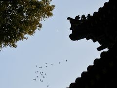 -罔极寺