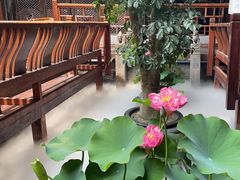 -三只耳火锅(宽窄巷子店)