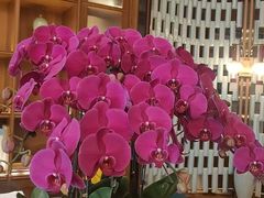 -栾氏荟(柳园店)