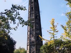 -上海佘山国家森林公园天马山园