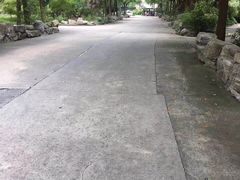 -安飞驰驾校·学车连锁(金高店)
