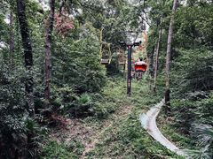 -WeLope紫金山探险公园