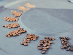 -GOTLOT COFFEE&KITCHEN角落厨房NOOK店