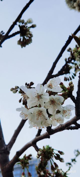 郑东新区湿地公园图片