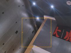 -大虎重庆老火锅(正弘城店)