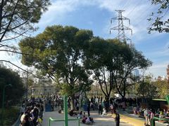 -宁波儿童公园(鄞州区)