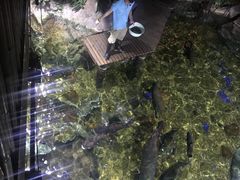 -暹罗海洋世界
