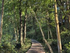 -广州市石门国家森林公园