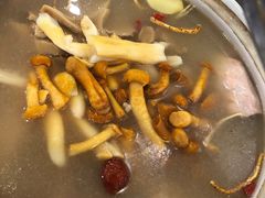五指毛桃药膳鸽-鸽鸟轩(石岐店)
