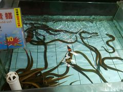 -渔民新村(番禺总店)