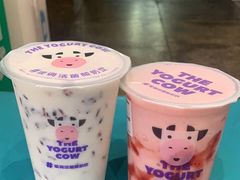 -一只酸奶牛(春熙路店)