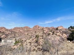 -红山国家森林公园