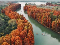 -上海海湾国家森林公园