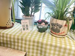 -猫头鹰炸鸡
