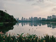 -南宁南湖公园