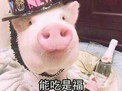 -金记大肠(瑞昌路店)