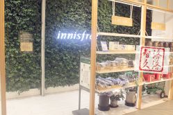 店内环境-悦诗风吟innisfree