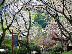 -中国茶叶博物馆(双峰馆区)