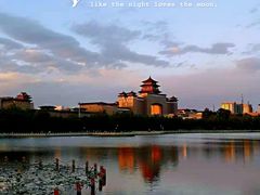 -莲花池公园
