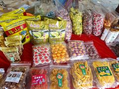 -西双版纳傣族园