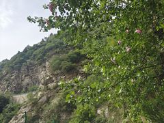 -沣峪森林公园龙潭戏水景区