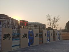-鹦鹉洲湿地公园