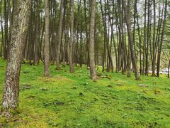 -硗碛藏寨·神木垒景区