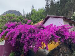 -万峰林风景区