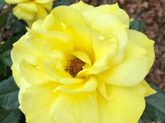 -人民公园(罗湖区)