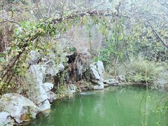 -杭州西湖风景名胜区-三生石