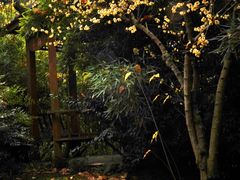 -三圣花乡旅游区