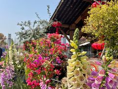 -二十八里太湖船菜(吉祥路店)