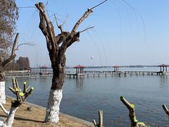 -东湖听涛景区