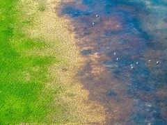 -鄱阳湖国家湿地公园